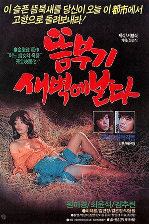 뜸부기 새벽에 날다