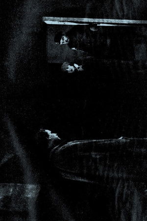 Закони шторму