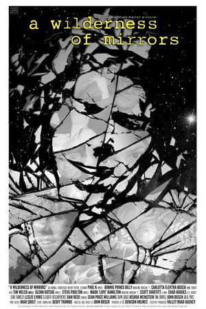 A Wilderness of Mirrors