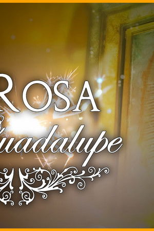 La rosa de Guadalupe