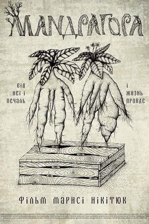 Мандрагора