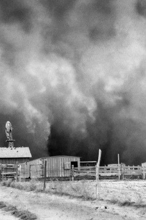 The Dust Bowl