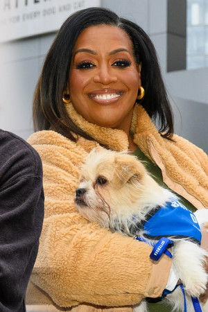 For the Love of Dogs