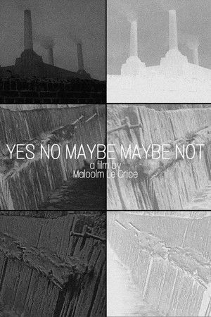 Yes No Maybe Maybe Not