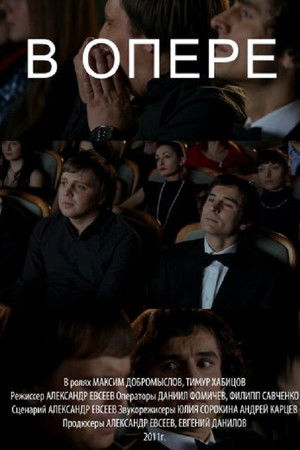 В опере