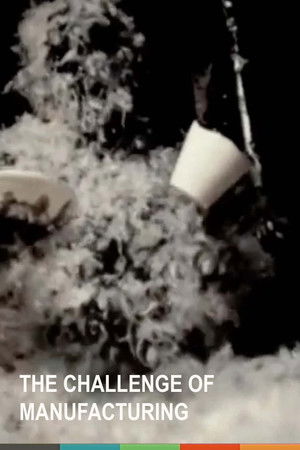 The Challenge of Manufacturing