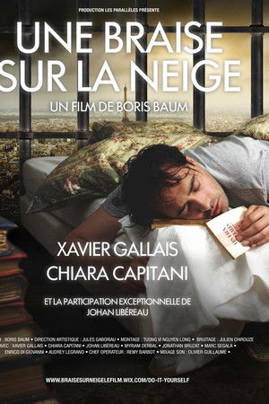 Une braise sur la neige