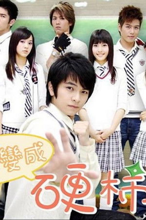 我要變成硬柿子