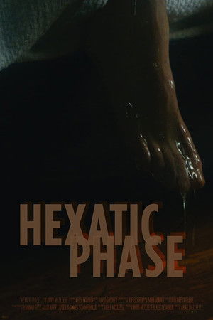 Hexatic Phase
