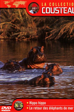 La collection Cousteau N°6 | Hippo, Hippo | Le retour des éléphants de mer