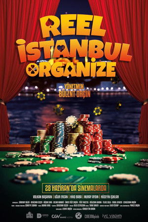 Reel İstanbul Organize