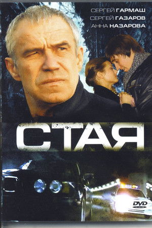 Стая