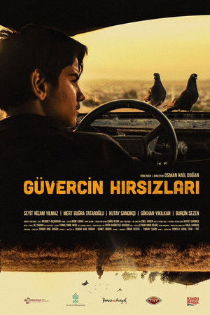 Güvercin Hırsızları