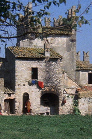 L'età di Cosimo de Medici