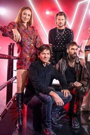 The Voice van Vlaanderen