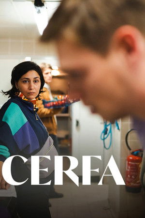Cerfa