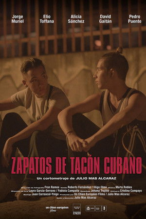 Zapatos de tacón cubano