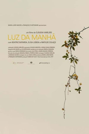Luz da Manhã