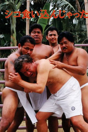 シコ食いこんじゃった