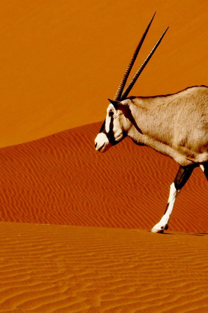 Namibias Naturwunder