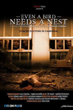 Même un oiseau a besoin de son nid