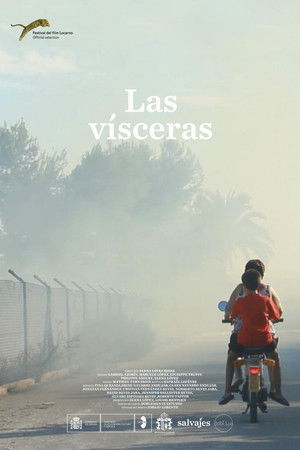 Las vísceras