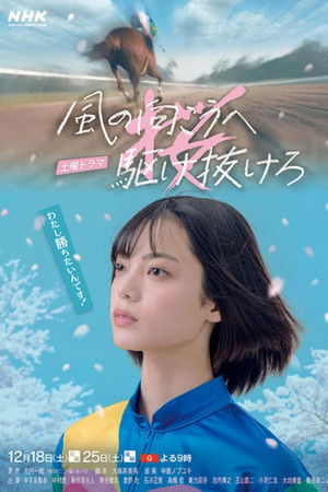 風の向こうへ駆け抜けろ