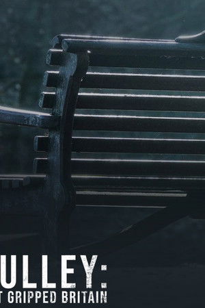 Nicola Bulley: The Disappearance That Gripped Britain