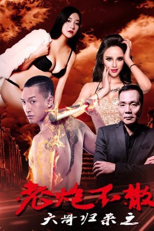 大哥归来之老炮不散