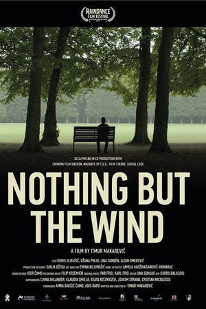 Ništa, samo vjetar