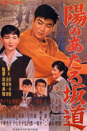 陽のあたる坂道