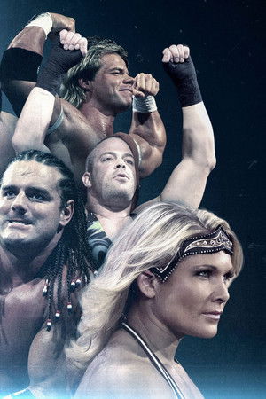 WWE Icons