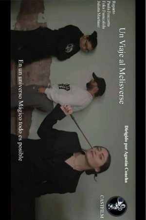 Un viaje al Melisverse