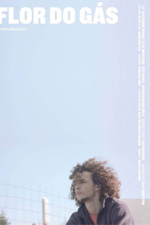 Flor do Gás