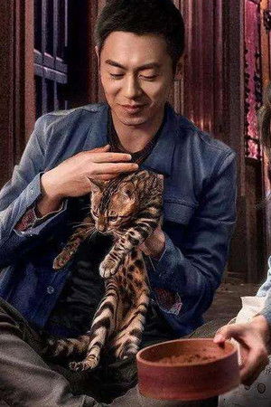 赖猫的狮子倒影