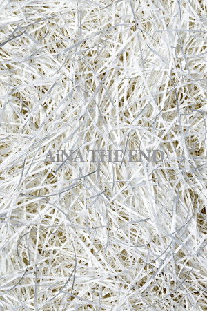 アイナ・ジ・エンド「帰巣本能」