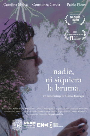 Nadie, ni siquiera la bruma