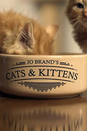 Jo Brand's Cats & Kittens