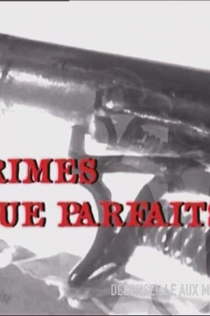 Des crimes presque parfaits