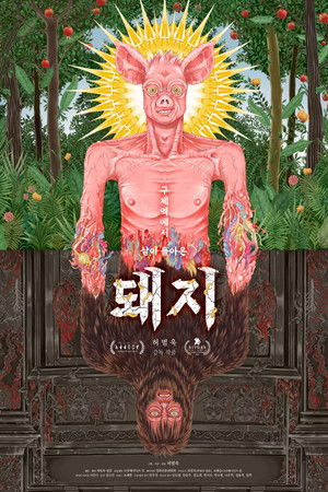 구제역에서 살아 돌아온 돼지