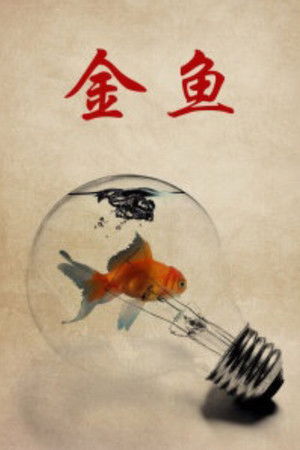 金鱼