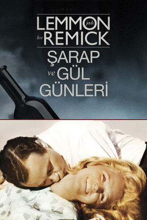 Şarap ve Gül Günleri