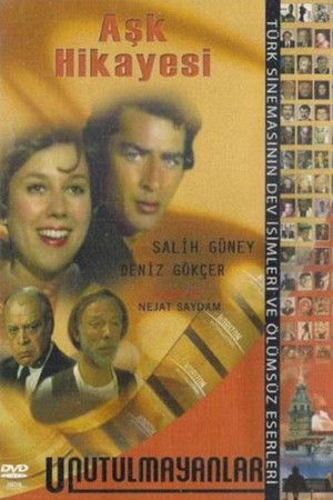 Aşk Hikayesi