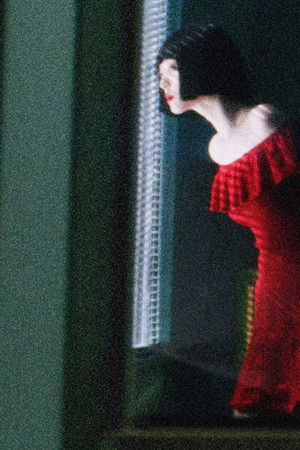 페르소나: 설리