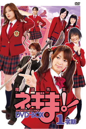 MAGISTER NEGI MAGI 魔法先生ネギま!