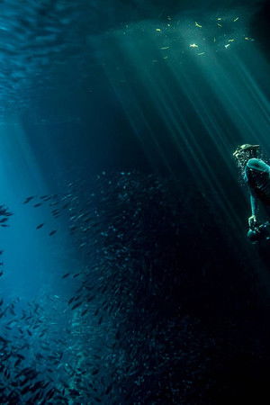 Işığın Masalları