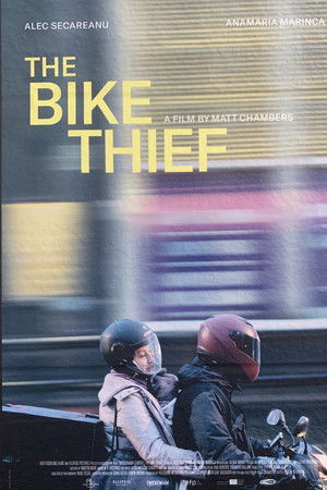 The Bike Thief