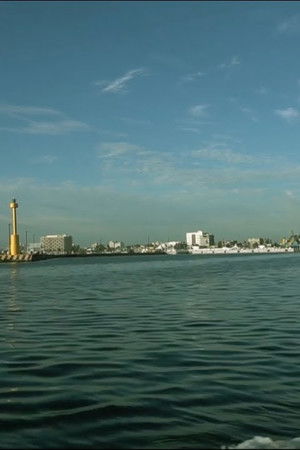 Veracruz 500 Años: Cara a Cara con su Historia