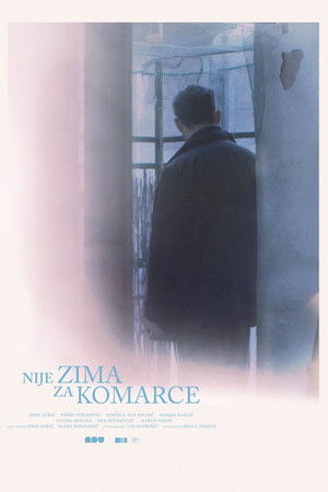 Nije zima za komarce