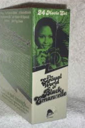 Ajita Wilson: An Elusive Icon